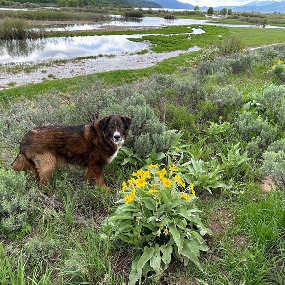 Meet your Posher, Shannon - Picture 14 of 17